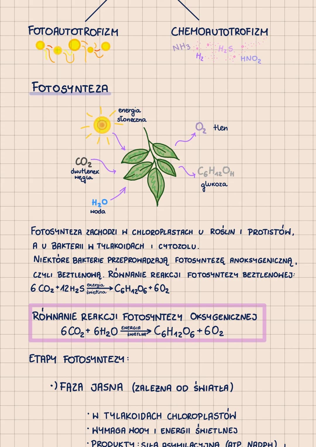 000
METABOLIZM
-POHTORZENIE DO MATURY 2023-
62.1
ANABOLIZM-reakcje syntezy, zwykle endoergiczne
A + B
ENERGIA
с
KATABOLIZM - reakcje rozkład