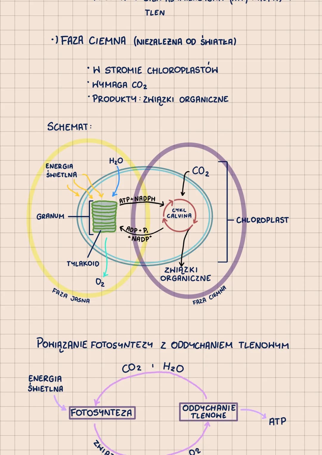 000
METABOLIZM
-POHTORZENIE DO MATURY 2023-
62.1
ANABOLIZM-reakcje syntezy, zwykle endoergiczne
A + B
ENERGIA
с
KATABOLIZM - reakcje rozkład