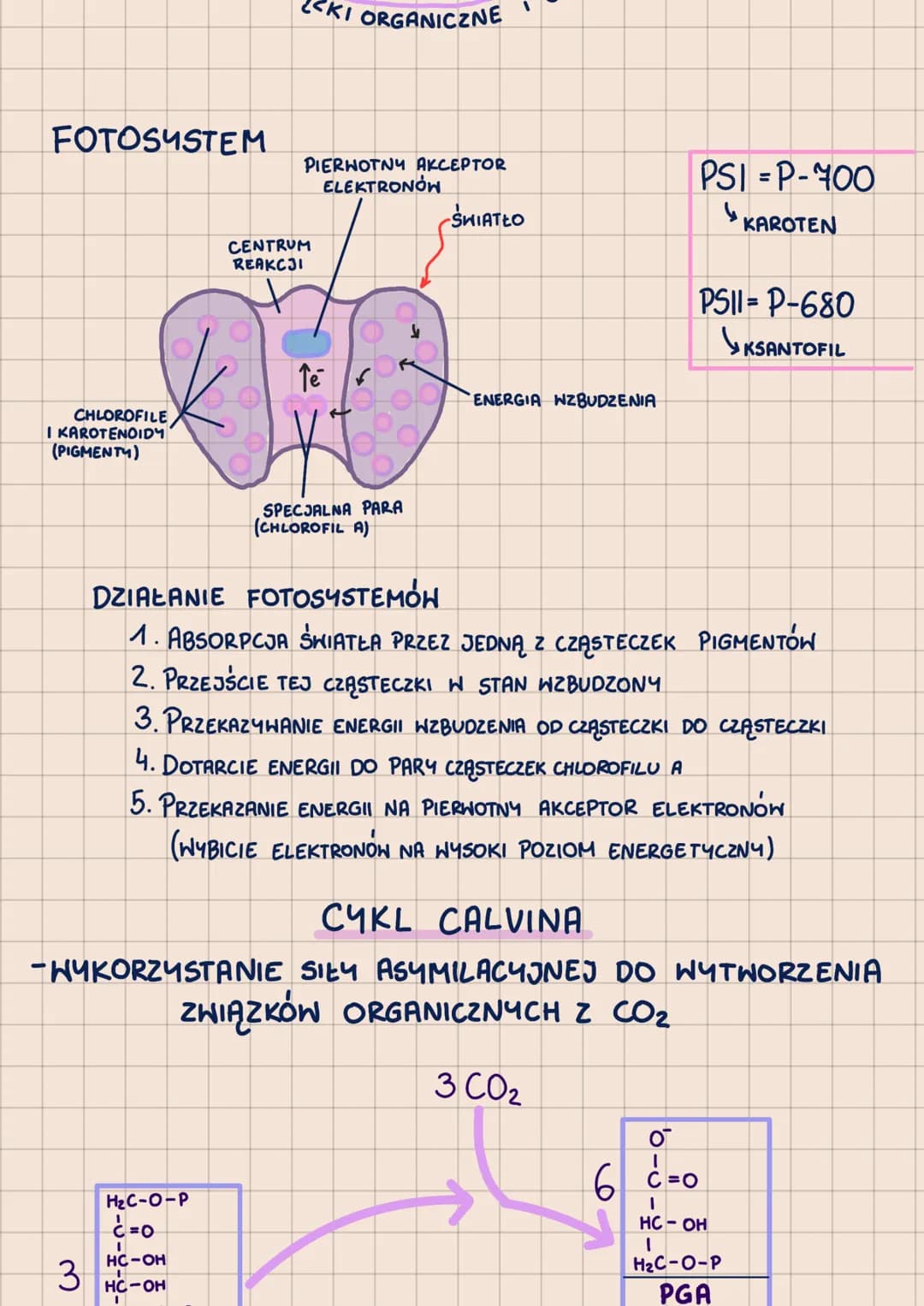 000
METABOLIZM
-POHTORZENIE DO MATURY 2023-
62.1
ANABOLIZM-reakcje syntezy, zwykle endoergiczne
A + B
ENERGIA
с
KATABOLIZM - reakcje rozkład