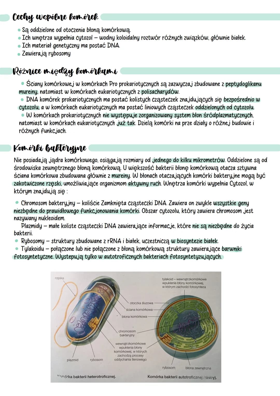Komórki - podstawowe informage
Poziomy organizacji komórkowej organizmów
Formy
Kolonijne
Organizmy
Jednokomórkowe
Zbudowane tylko z jednej
k