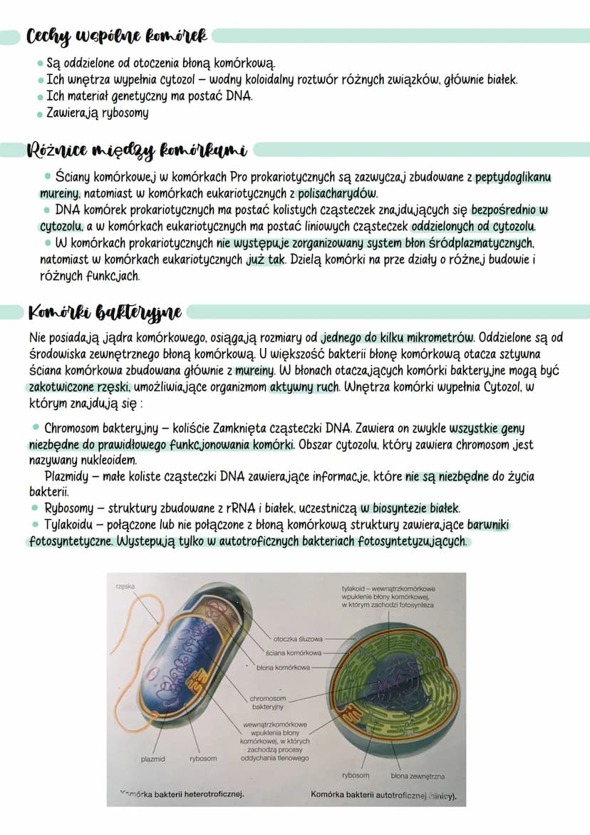 Komórki - podstawowe informage
Poziomy organizacji komórkowej organizmów
Formy
Kolonijne
Organizmy
Jednokomórkowe
Zbudowane tylko z jednej
k