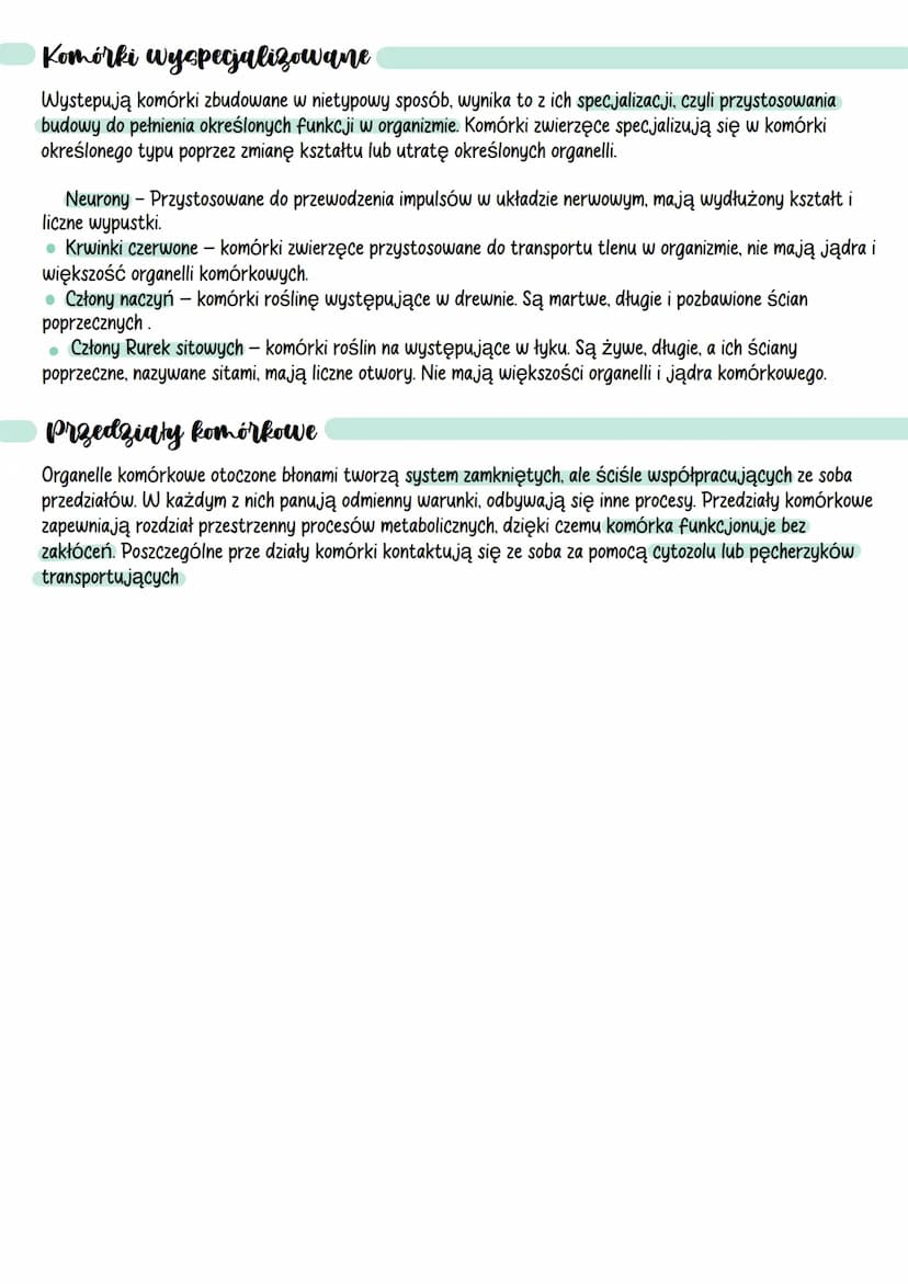 Komórki - podstawowe informage
Poziomy organizacji komórkowej organizmów
Formy
Kolonijne
Organizmy
Jednokomórkowe
Zbudowane tylko z jednej
k