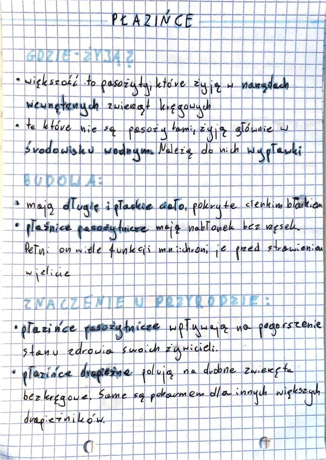 Temat: Płazińce