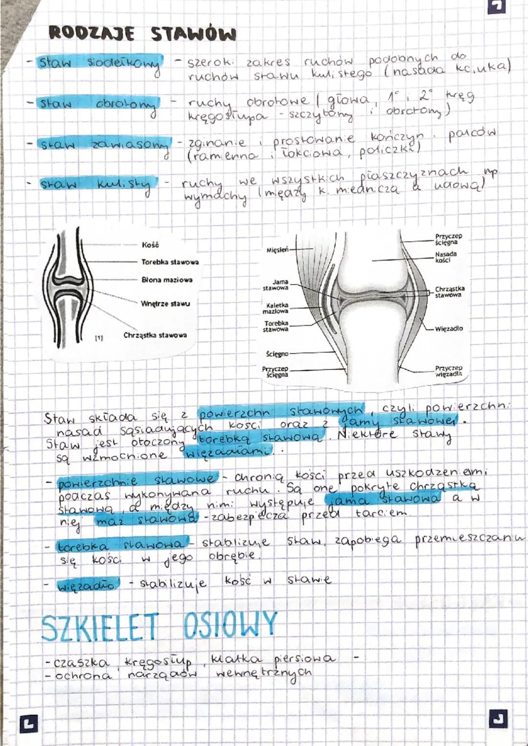 EN
"WREAD RUCHU
tworzą go męśnie szkieletowe
część bierna, nezaoina.
Mięśnie część czynna - wprawa w
Szkielet człowieka dzielimy na
2 obręcz