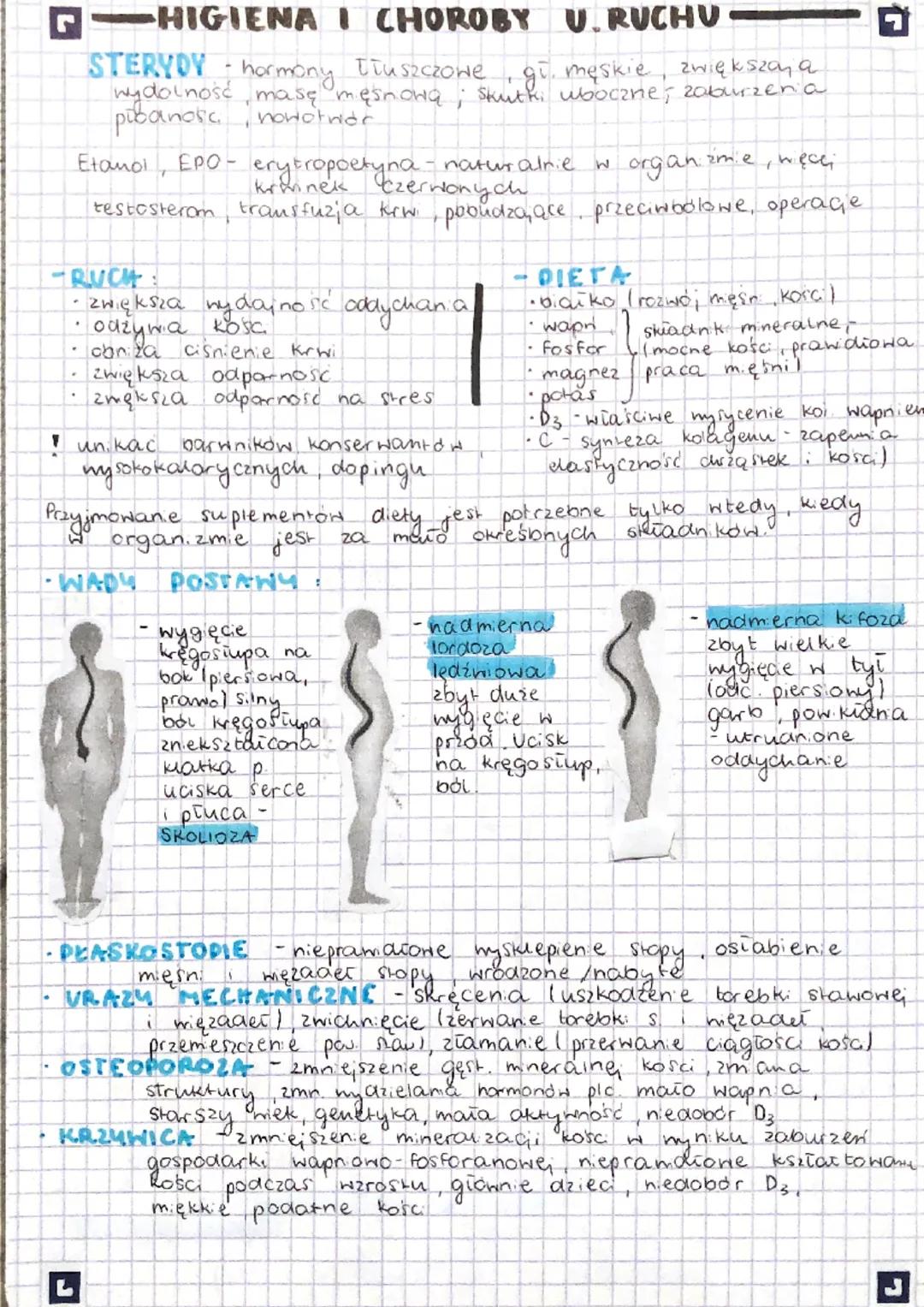 EN
"WREAD RUCHU
tworzą go męśnie szkieletowe
część bierna, nezaoina.
Mięśnie część czynna - wprawa w
Szkielet człowieka dzielimy na
2 obręcz