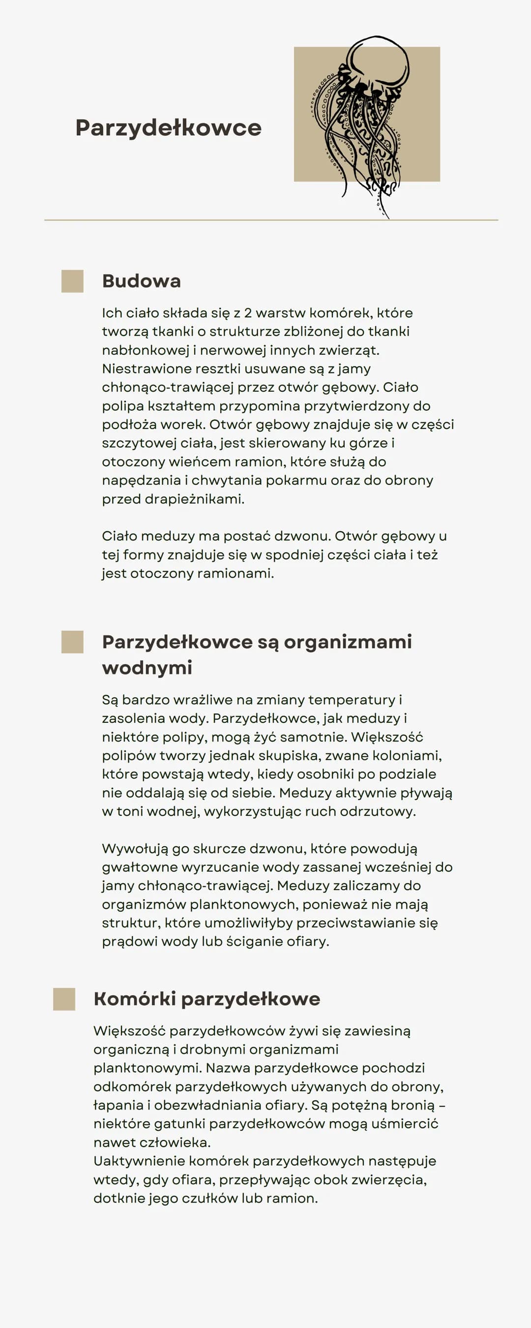 Parzydełkowce
00000
Budowa
Ich ciało składa się z 2 warstw komórek, które
tworzą tkanki o strukturze zbliżonej do tkanki
nabłonkowej i nerwo