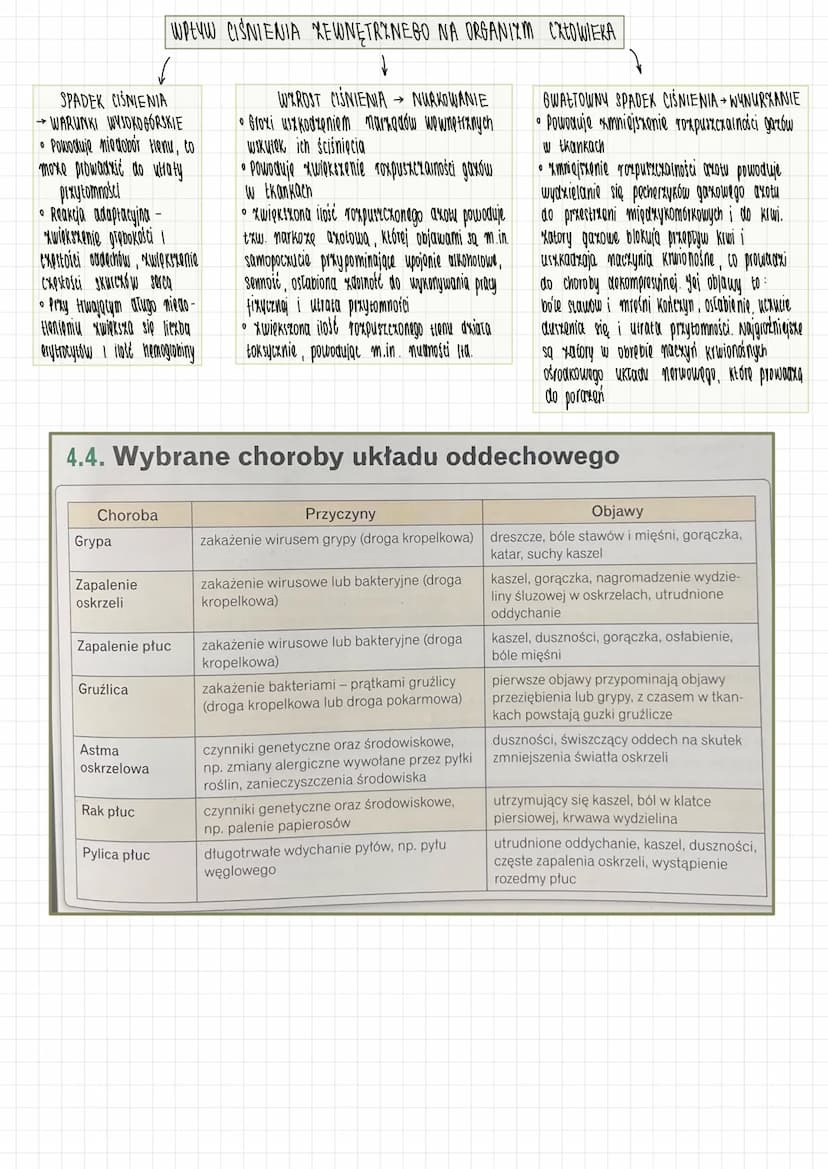 DROGI ODDECHOWE
→> doprowadzanie do
ptuc swiezego powietrza
i odprowadzanie xuzy tego
GARDŁO
KRTAN
UKŁAD ODDECHOWY
FALDY GŁOSOWE
TCHAWICA → 