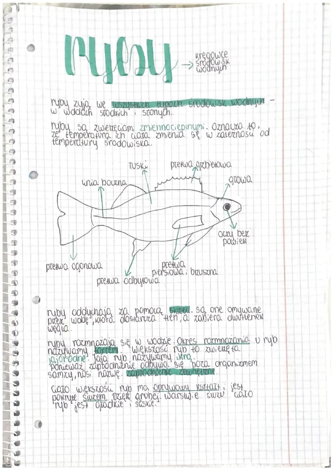 Biologia- ryby