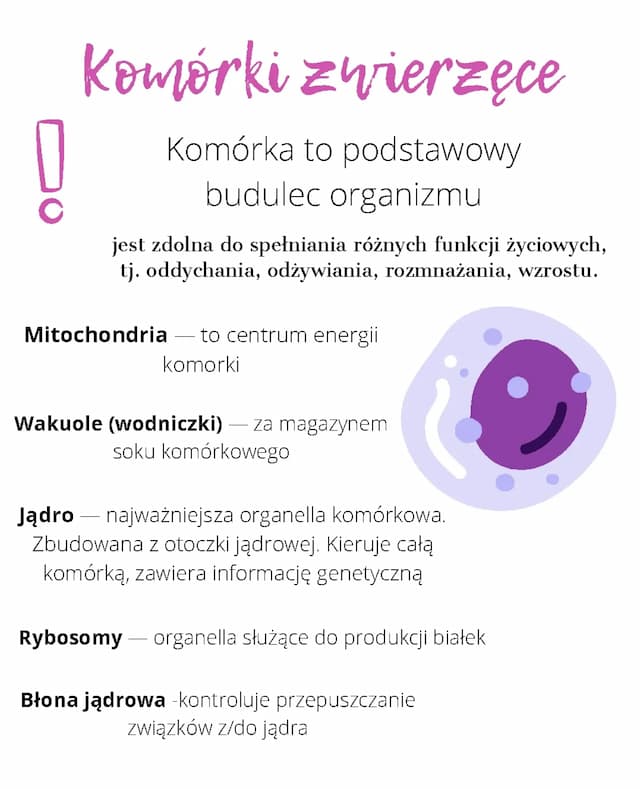Know Komórka Zwierzęca thumbnail