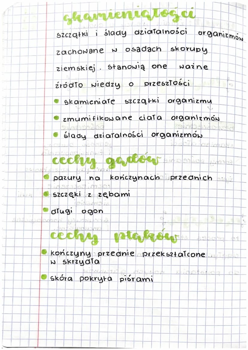 0
lekcja
temat: źródła wiedzy o evolucji.
dowody coluc
↓
bezpośrednie
skamieniałości
formy posrednie
żywe skamieniałościo
iniziar
• P
↓
pośr