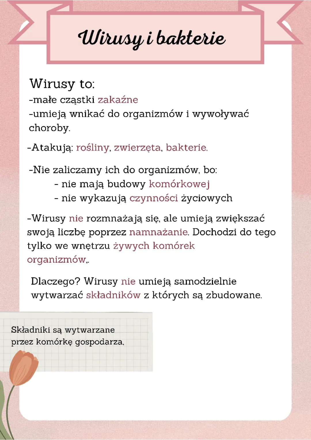 Wirusy vs. Bakterie: Jak się Różnią i Jakie Choroby Wywołują?
