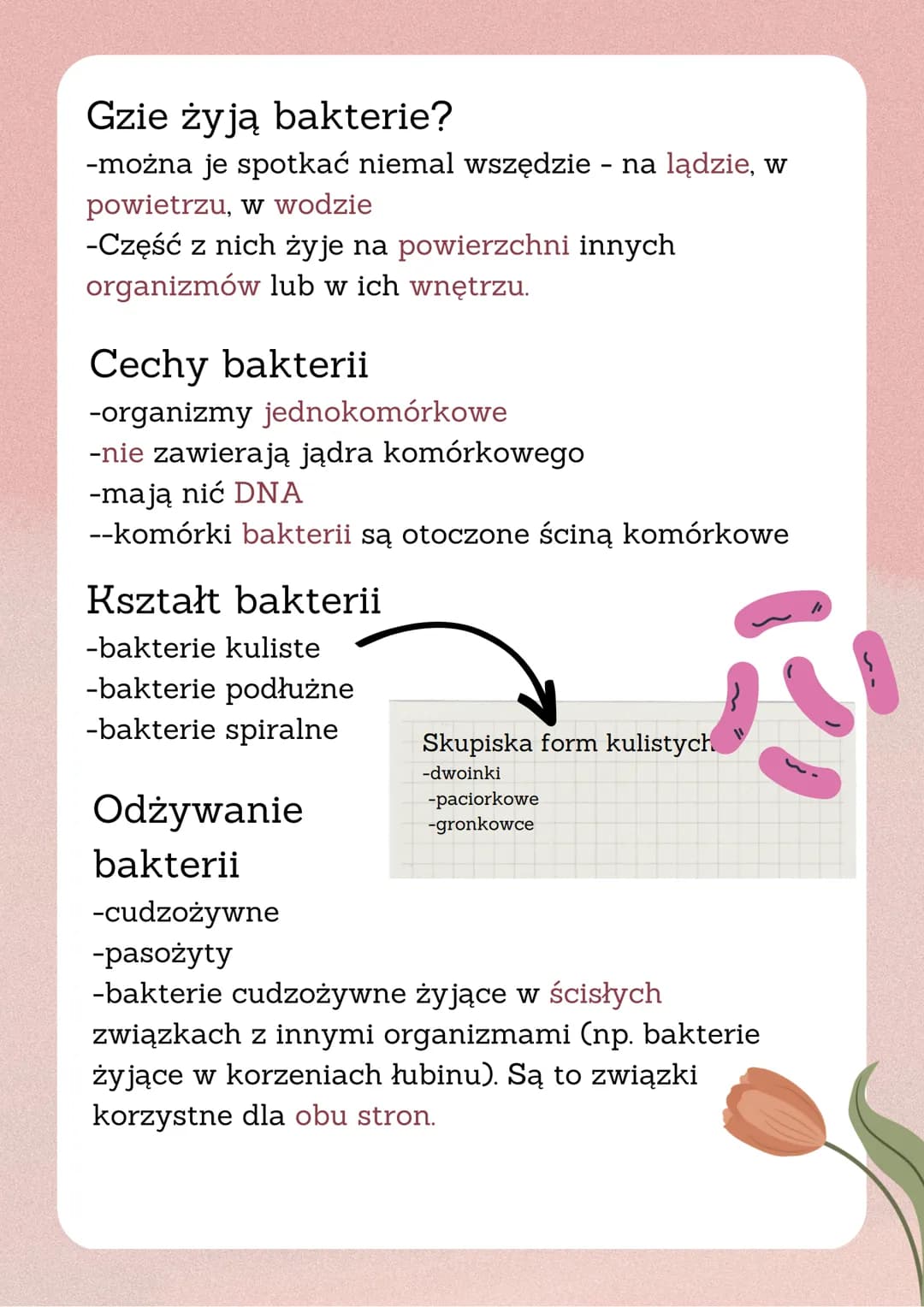 Wirusy i bakterie
Wirusy to:
-małe cząstki zakaźne
-umieją wnikać do organizmów i wywoływać
choroby.
-Atakują: rośliny, zwierzęta, bakterie.