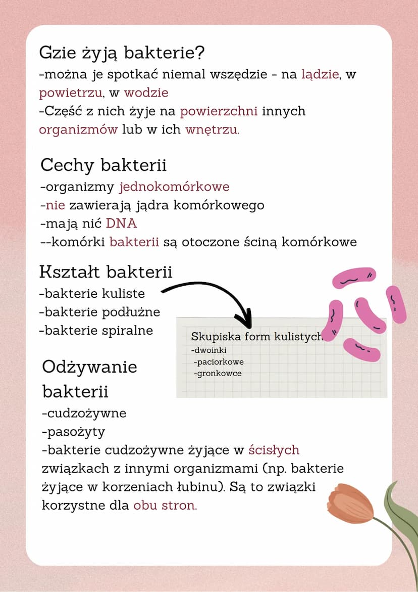 Wirusy i bakterie
Wirusy to:
-małe cząstki zakaźne
-umieją wnikać do organizmów i wywoływać
choroby.
-Atakują: rośliny, zwierzęta, bakterie.