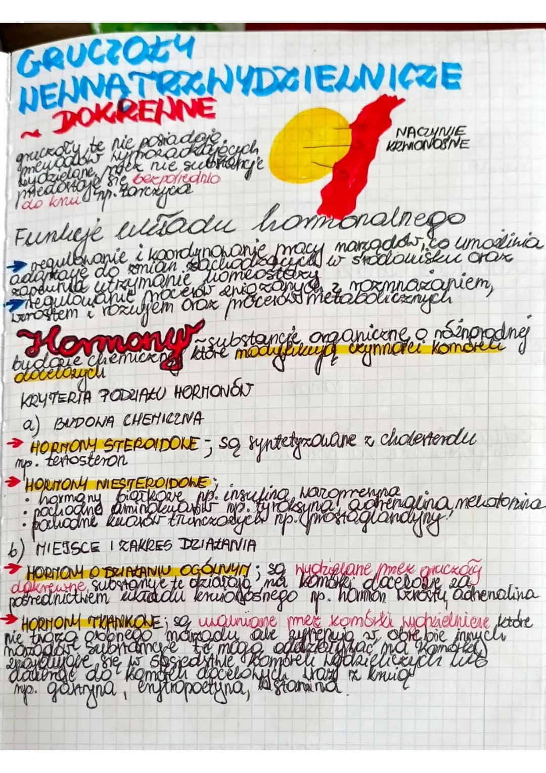 GRUCZOŁY
HENNATRZNYDZIELNICZE
DOKRENNE
grickoły be nie
meyadow Kypadaje uch
Imedonoje się bezporednio
Pas krump. Zarczyca
Funkcje
• regulowa
