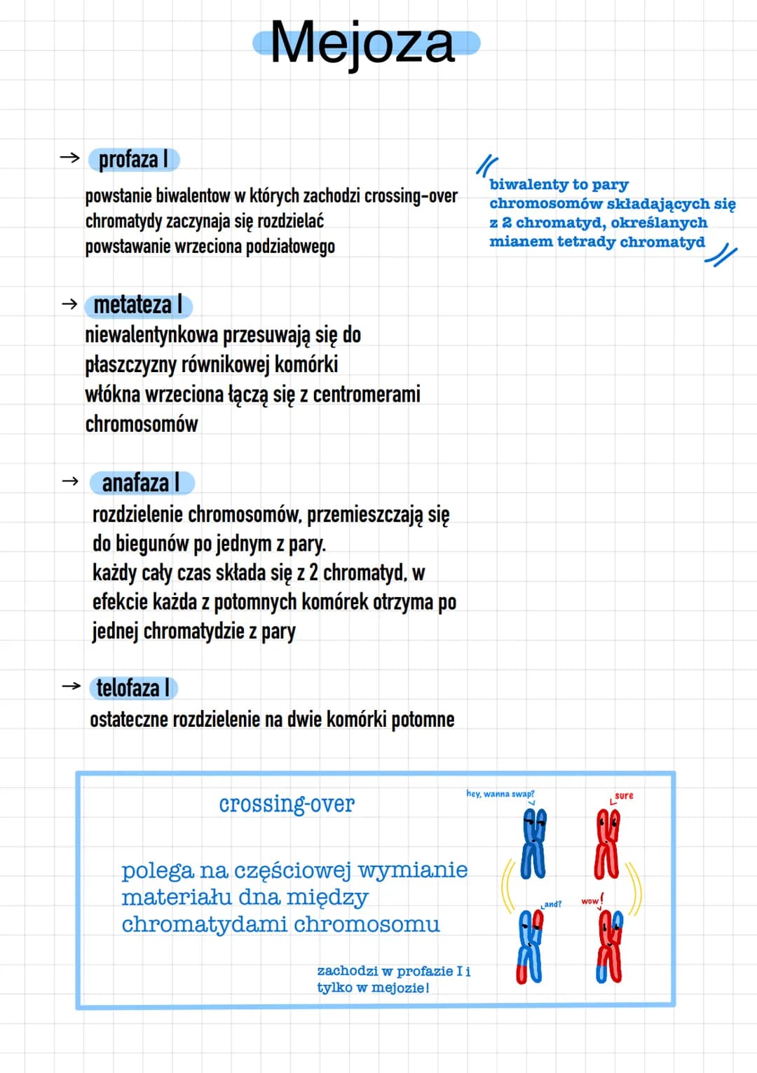 Mejoza
→ profaza
powstanie biwalentow w których zachodzi crossing-over
chromatydy zaczynaja się rozdzielać
powstawanie wrzeciona podziałoweg