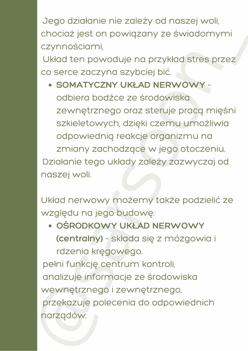 Układ nerwowy
BUDOWA UKŁADU NERWOWEGO
Układ nerwowy jest niezwykle
skomplikowanym i sprawnym systemem
zarządzania komunikacji. Zapewnia on
p