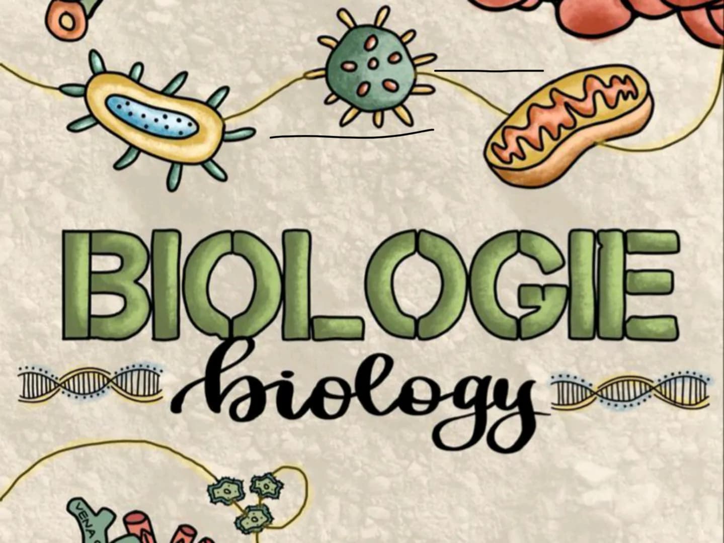 BIOLOGIE
biology
m
VENA
30
T Plazince
OOPHOCOso con8cOBO CODO CPUO CODO
1. Najważniejsze informacje:
plazińce (pla-yhelmintes)
nie są pasoży