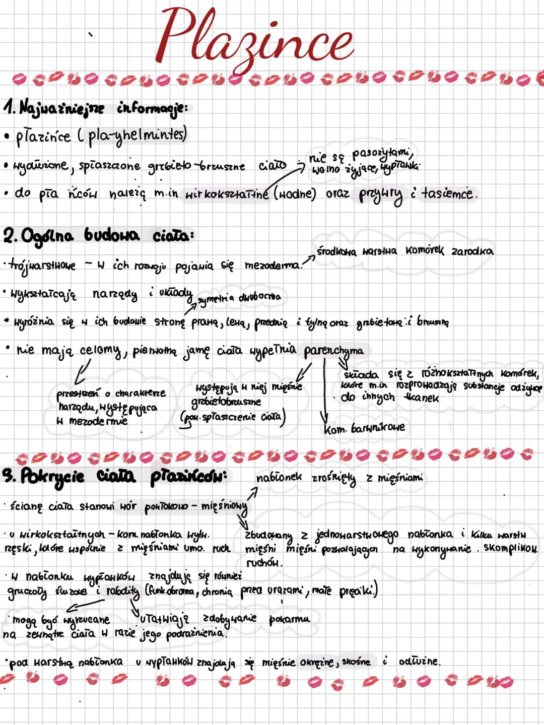BIOLOGIE
biology
m
VENA
30
T Plazince
OOPHOCOso con8cOBO CODO CPUO CODO
1. Najważniejsze informacje:
plazińce (pla-yhelmintes)
nie są pasoży