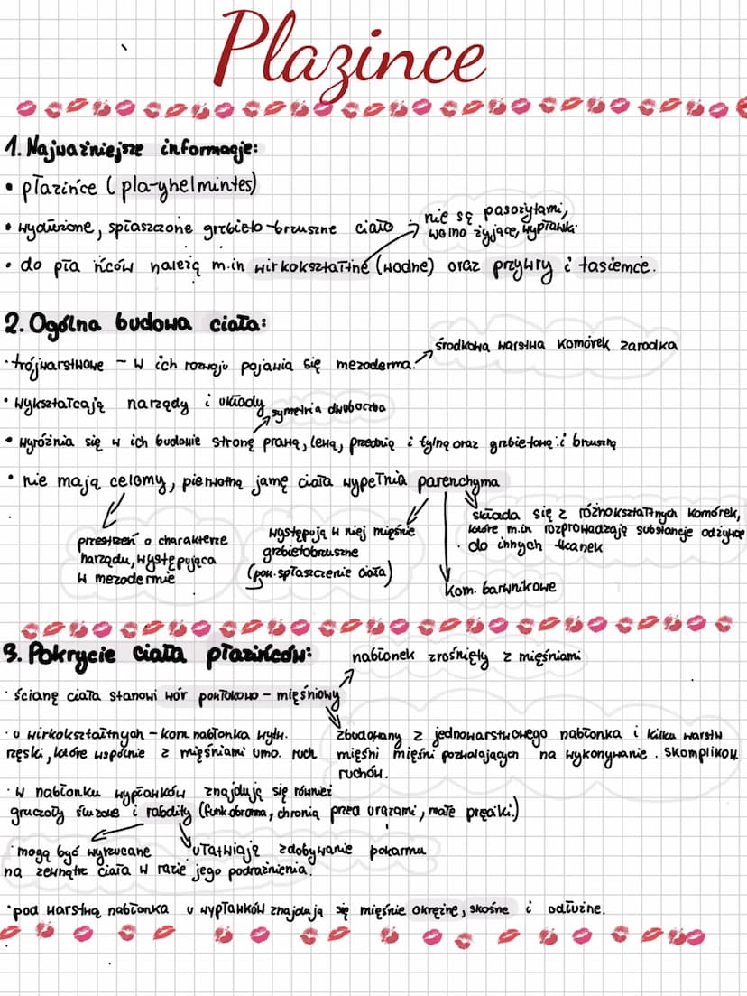 BIOLOGIE
biology
m
VENA
30
T Plazince
OOPHOCOso con8cOBO CODO CPUO CODO
1. Najważniejsze informacje:
plazińce (pla-yhelmintes)
nie są pasoży