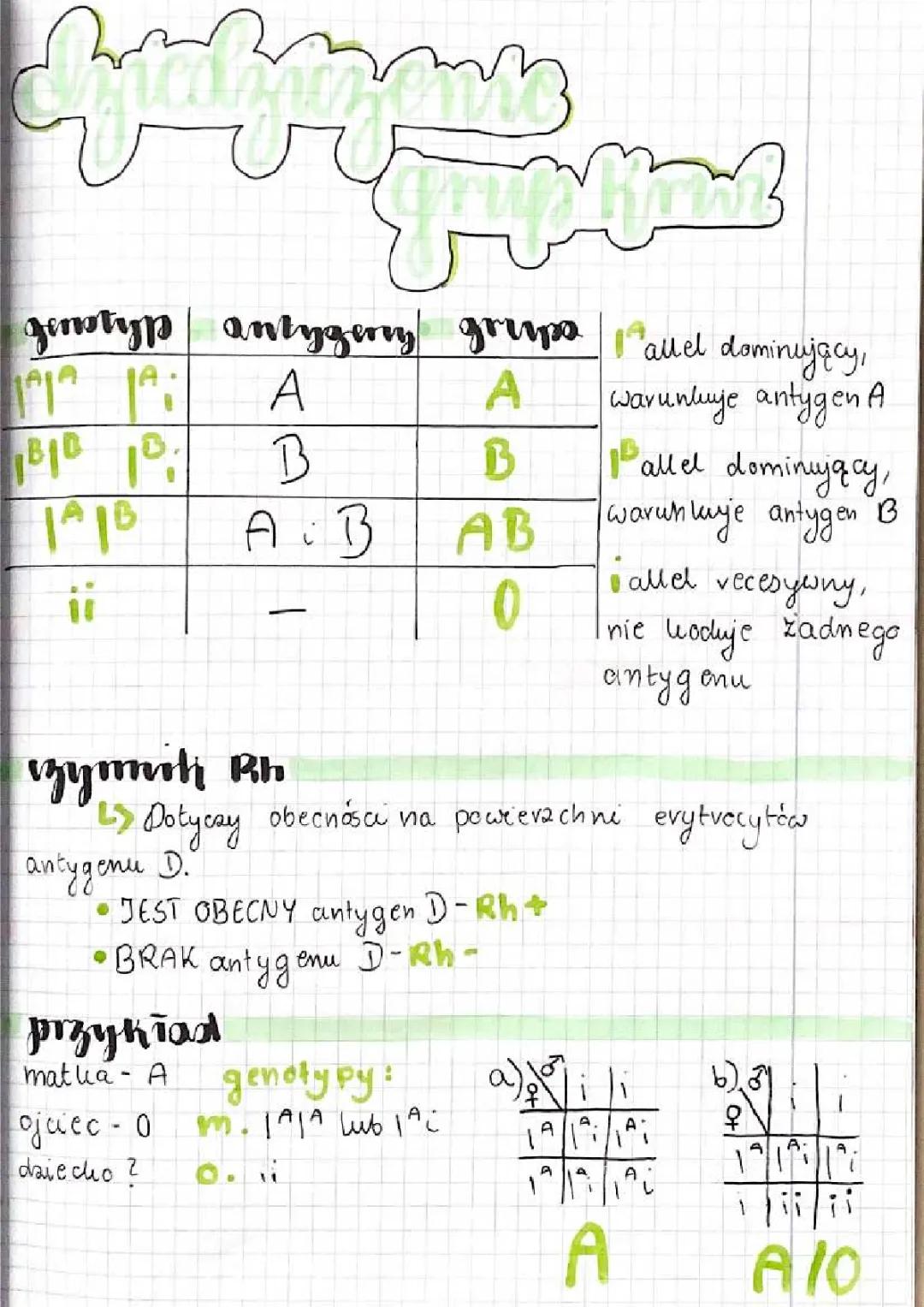 Jak Dziedziczymy Grupy Krwi? - Puls Życia Klasa 8