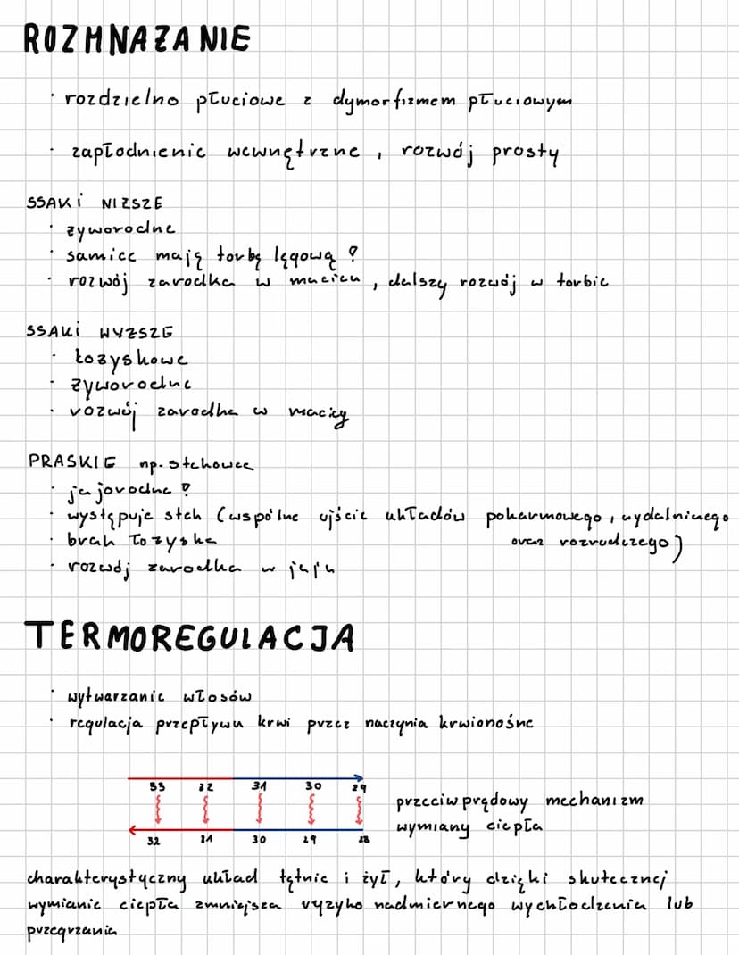 SSAKI
L> stalocieplne
naskórek
kóra właściwa
canka podskóma
1) Wspólne cechy ssaków
• karmienie młoclych mlekiem.
• owłosienie ciała
· przep