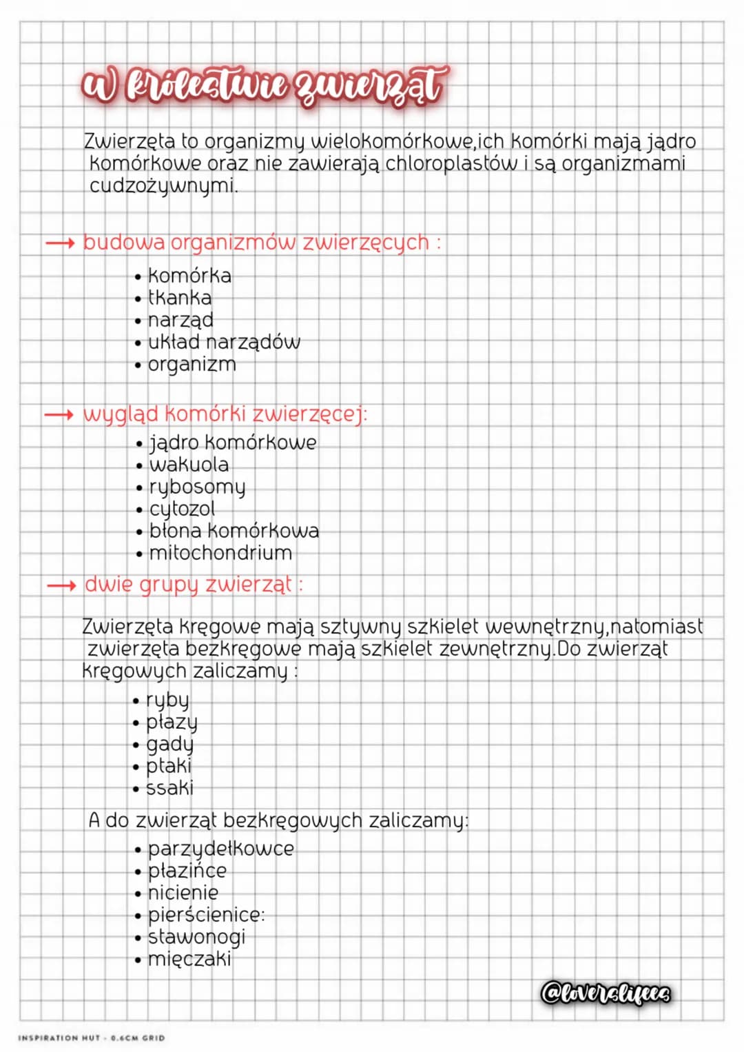 a Prolectivre zwierząt
Zwierzęta to organizmy wielokomórkowe, ich komórki mają jądro
komórkowe oraz nie zawierają chloroplastów i są organiz