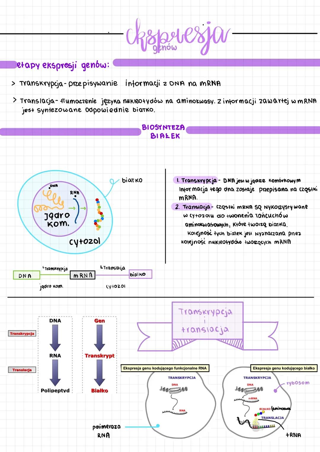 Modyfikacje transkrypcji RNA i regulacja ekspresji genów