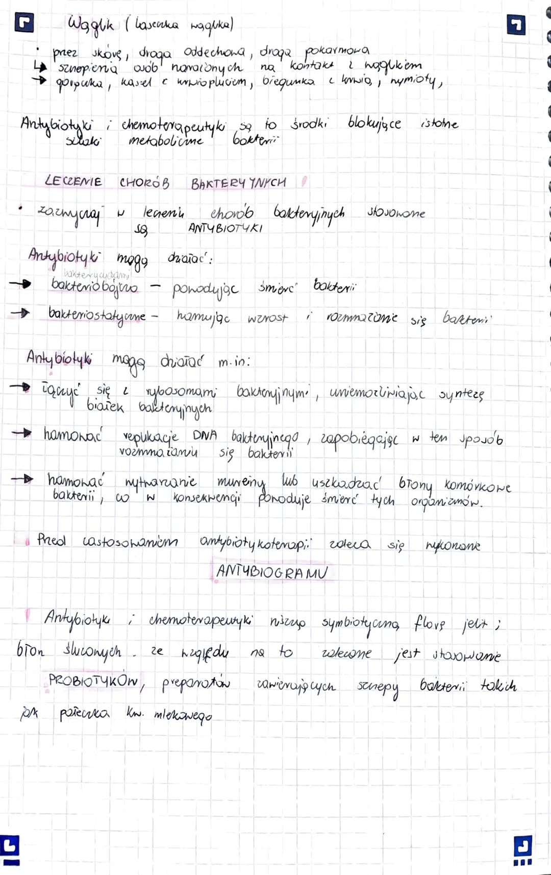 organizmy prokariotyczne (bezjądrowe)
jednokomorkone lub
1 do kilku
mikrometrów
wymiary od
występują
mogą pretinac
fimbrie
otoczka
śluzowa
I