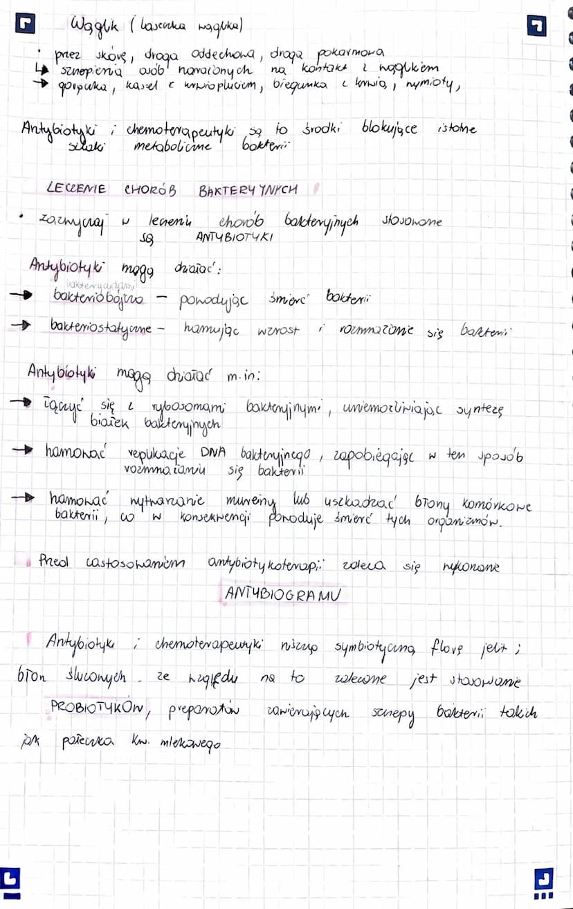 organizmy prokariotyczne (bezjądrowe)
jednokomorkone lub
1 do kilku
mikrometrów
wymiary od
występują
mogą pretinac
fimbrie
otoczka
śluzowa
I