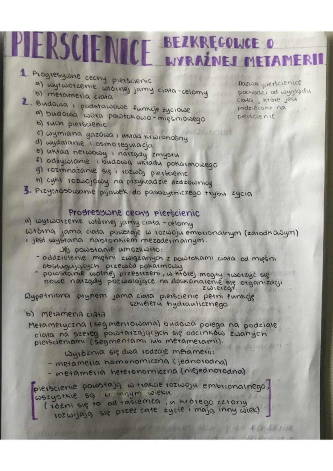 PIERSCIENICE BERNEJ METAMERI
BEZKREGOWCE COmmen
WYRAŻNEJ
1. Progresywne cechy pierścienic
a) wytworzenie wtórnej jamy ciała - celomy
b) meta