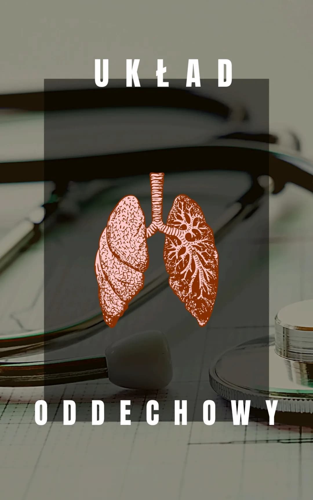 ↳> bronchoskopia
Bronchoskop
Przełyk
Tchawica
Prawe płuco
Lewe oskrzele
Lewe płuco
↳> spirometria
.
badanie endoskopowe 23 pomocą bronchosko