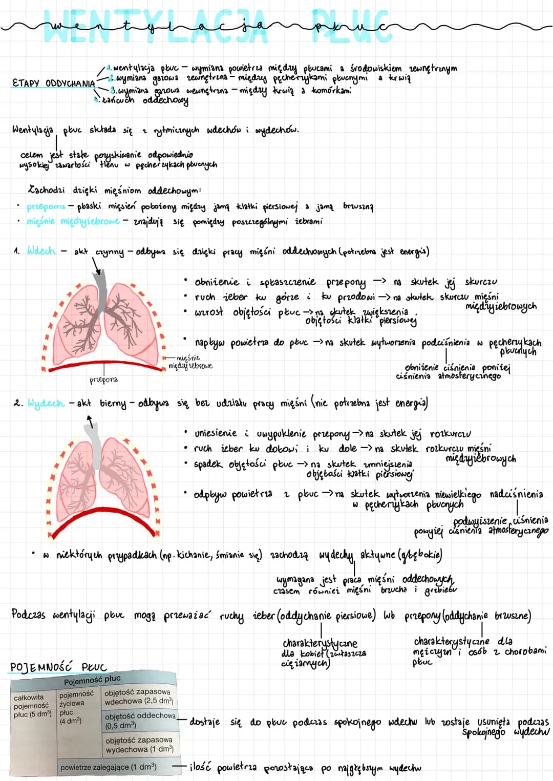 ↳> bronchoskopia
Bronchoskop
Przełyk
Tchawica
Prawe płuco
Lewe oskrzele
Lewe płuco
↳> spirometria
.
badanie endoskopowe 23 pomocą bronchosko
