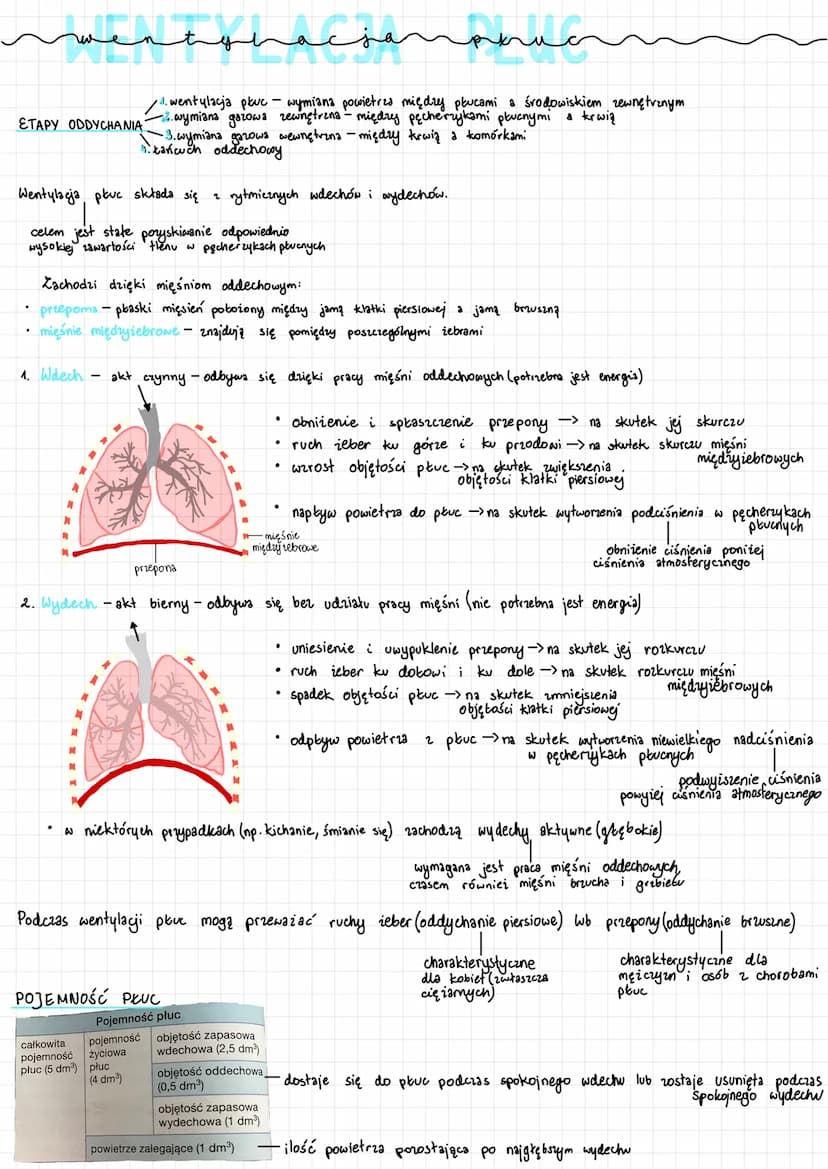 ↳> bronchoskopia
Bronchoskop
Przełyk
Tchawica
Prawe płuco
Lewe oskrzele
Lewe płuco
↳> spirometria
.
badanie endoskopowe 23 pomocą bronchosko