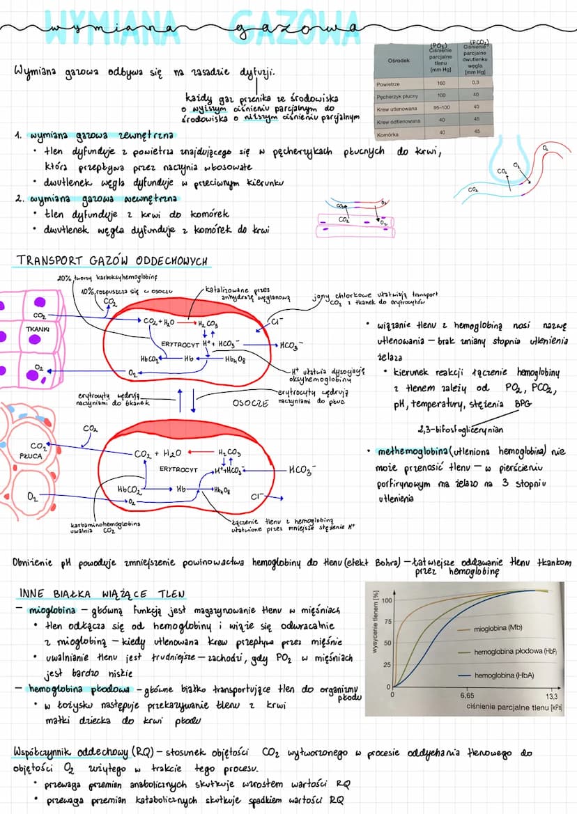 ↳> bronchoskopia
Bronchoskop
Przełyk
Tchawica
Prawe płuco
Lewe oskrzele
Lewe płuco
↳> spirometria
.
badanie endoskopowe 23 pomocą bronchosko