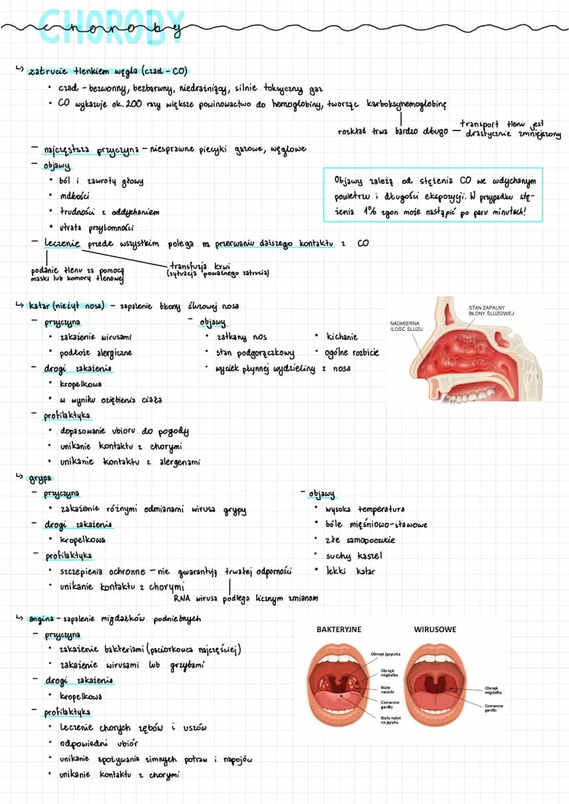 ↳> bronchoskopia
Bronchoskop
Przełyk
Tchawica
Prawe płuco
Lewe oskrzele
Lewe płuco
↳> spirometria
.
badanie endoskopowe 23 pomocą bronchosko