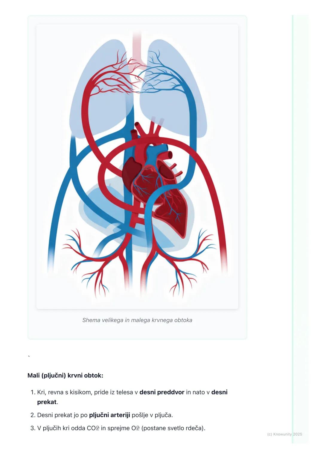 # Krvni obtok

Uvod v krvni obtok

Krvni obtok je transportni sistem našega telesa. Predstavljam si ga kot mrežo
cest (krvne žile), po kater