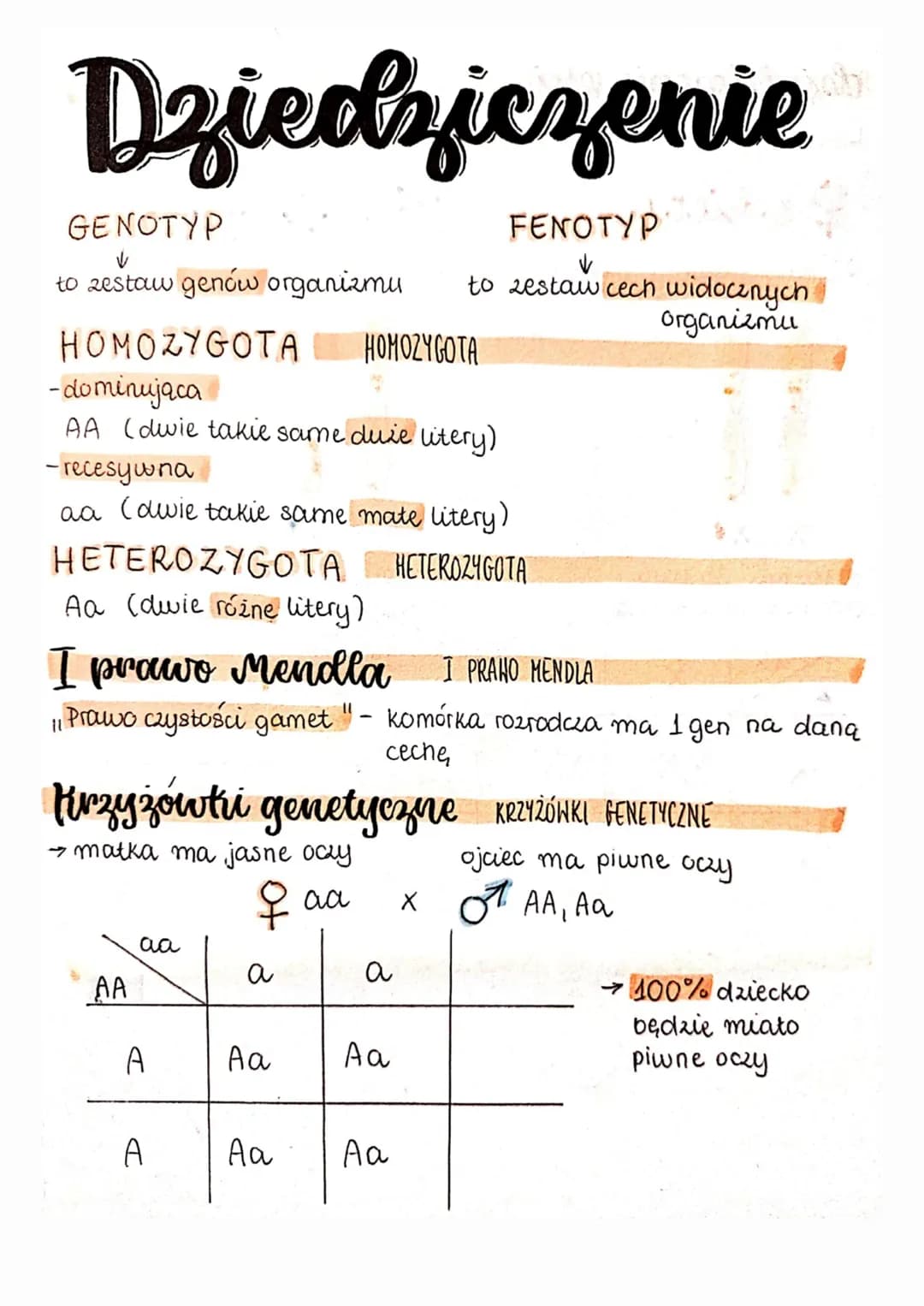 Dziedziczenie
GENOTYP
FENOTYP
to zestaw genów organizmu to zestaw cech widocznych.
organizmu
HOMOZYGOTA HOMOZYGOTA
-dominująca
AA (dwie taki