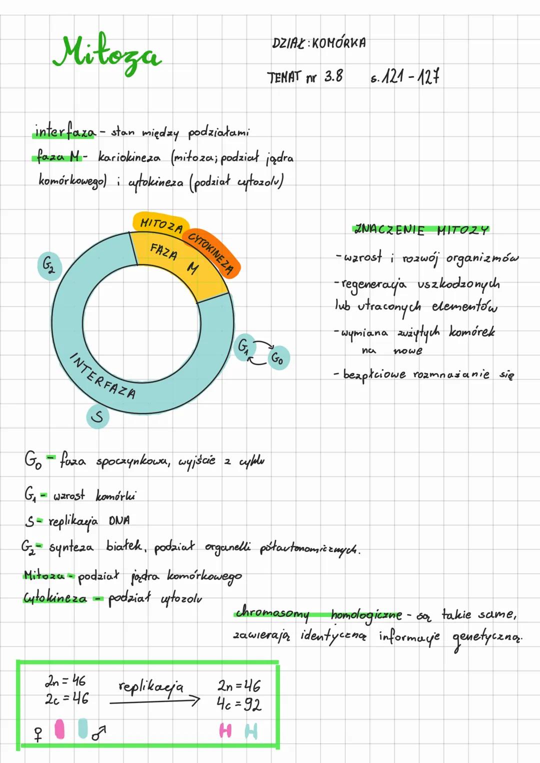 # Mitoza

DZIAŁ: KOMÓRKA

TEMAT nr 3.8

interfaza-stan między podziałami

faza M- kariokineza (mitoza; podział jądra
komórkowego) i cytokine