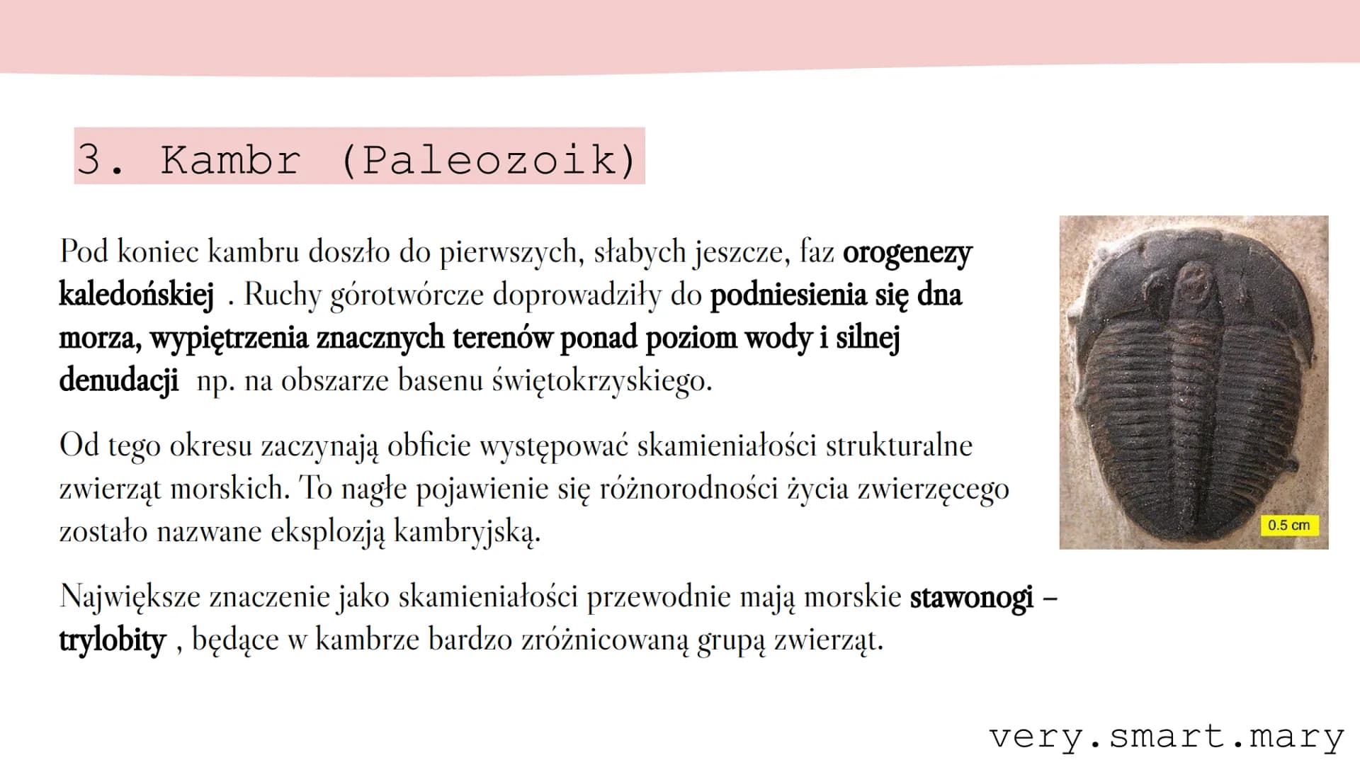 # ERY GEOLOGICZNE

`very.smart.mary` --- OCR Start ---
Ery geologiczne
ERA
Kenozoiczna (Kenozoik)
Mezozoiczna (Mezozoik)
OKRES
Holocen
Czwar