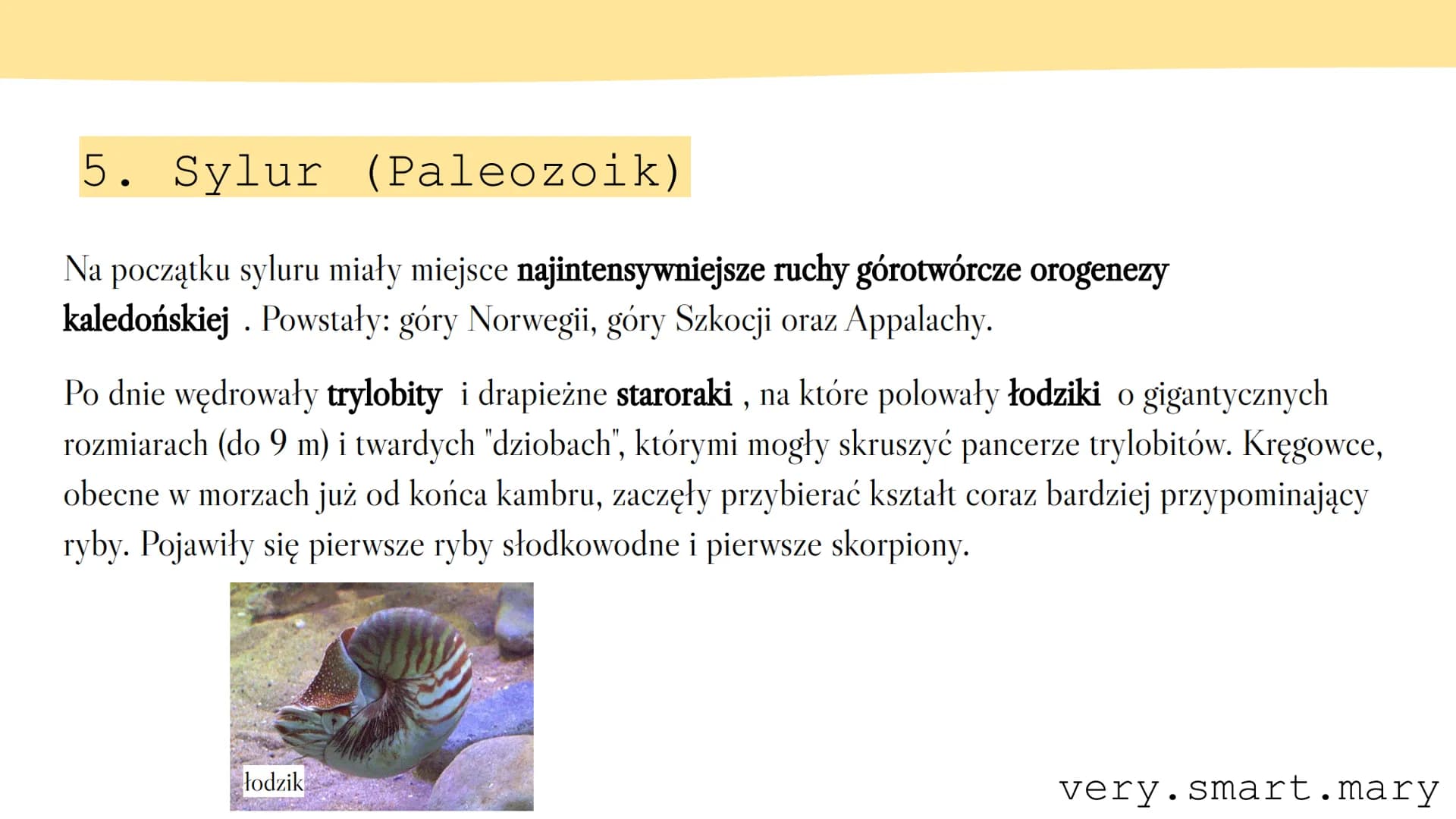 # ERY GEOLOGICZNE

`very.smart.mary` --- OCR Start ---
Ery geologiczne
ERA
Kenozoiczna (Kenozoik)
Mezozoiczna (Mezozoik)
OKRES
Holocen
Czwar
