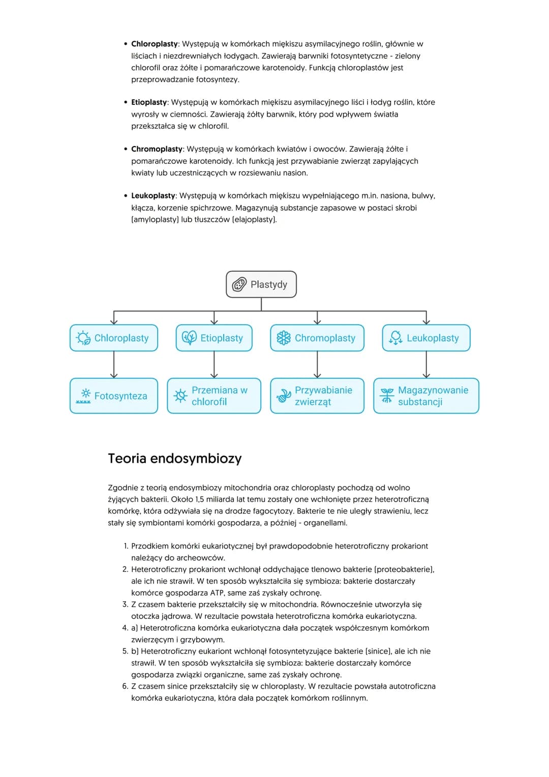 Mitochondria i plastydy. Teoria
endosymbiozy
Mitochondria
Mitochondria mają zwykle kształt owalny lub kulisty. Są oddzielone od cytozolu dwi