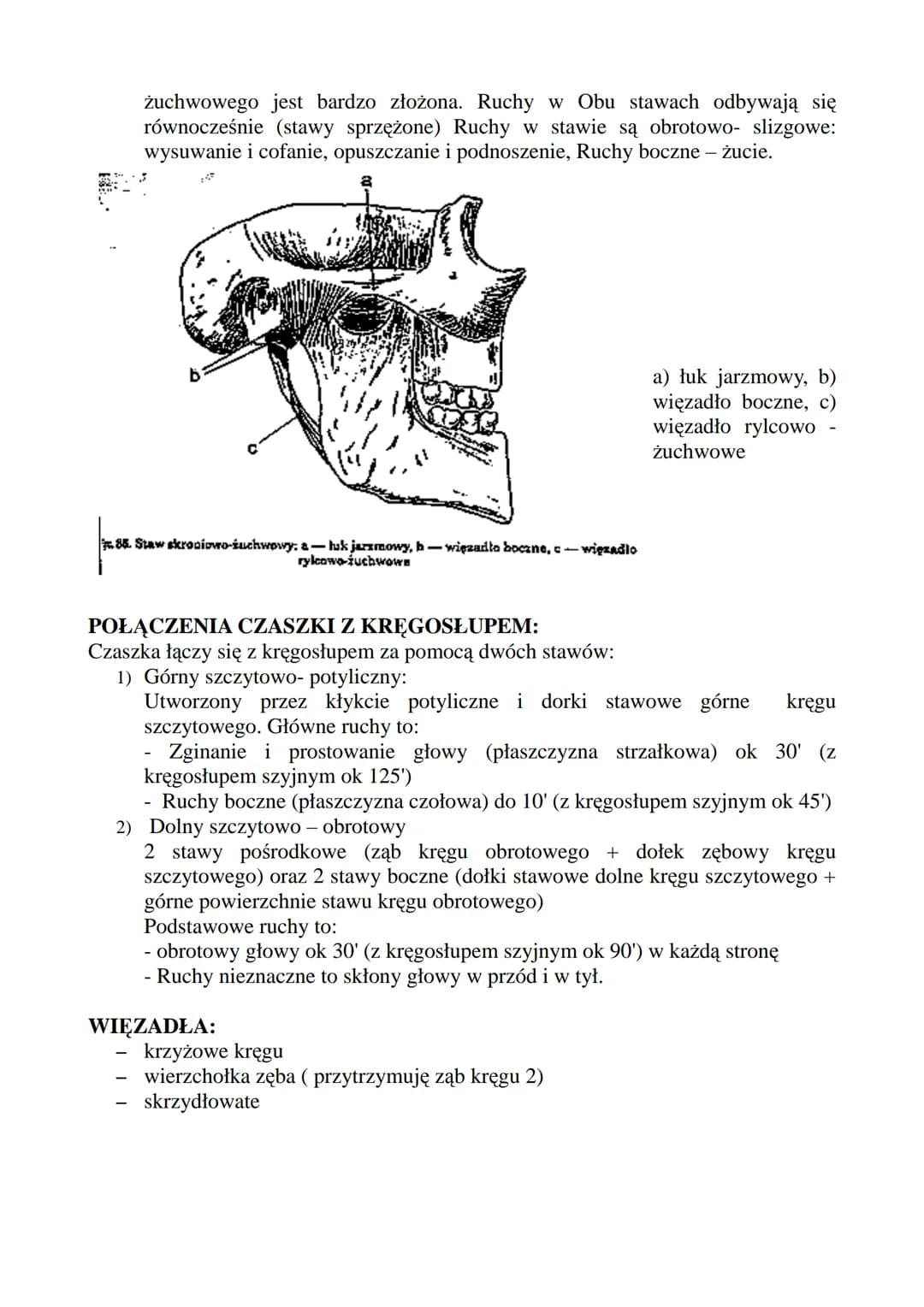 CZASZKA!
F:
Tworzy osłonę kostną dla: Mózgowia, Narządów Zmysłu (zmysł równowagi, słuchu),
Układu pokarmowego (odcinek początkowy), Układu O