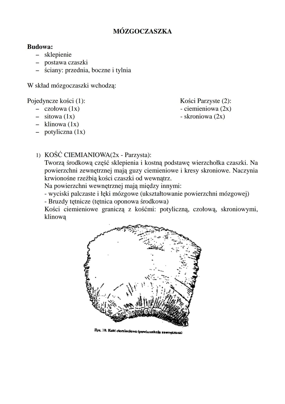 CZASZKA!
F:
Tworzy osłonę kostną dla: Mózgowia, Narządów Zmysłu (zmysł równowagi, słuchu),
Układu pokarmowego (odcinek początkowy), Układu O