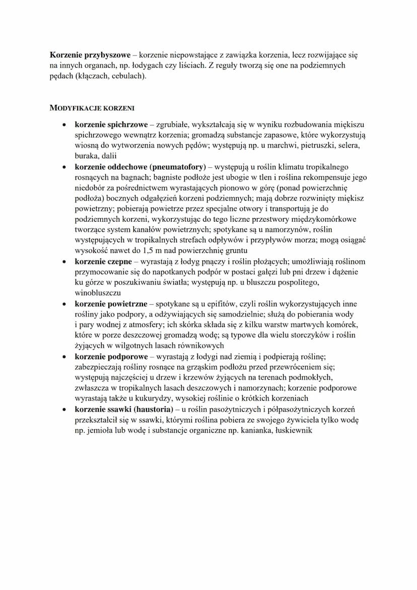 FUNKCJE KORZENIA
●
umocowanie rośliny w podłożu
pobieranie wody i soli mineralnych
● gromadzenie substancji zapasowych
rozmnażanie wegetatyw