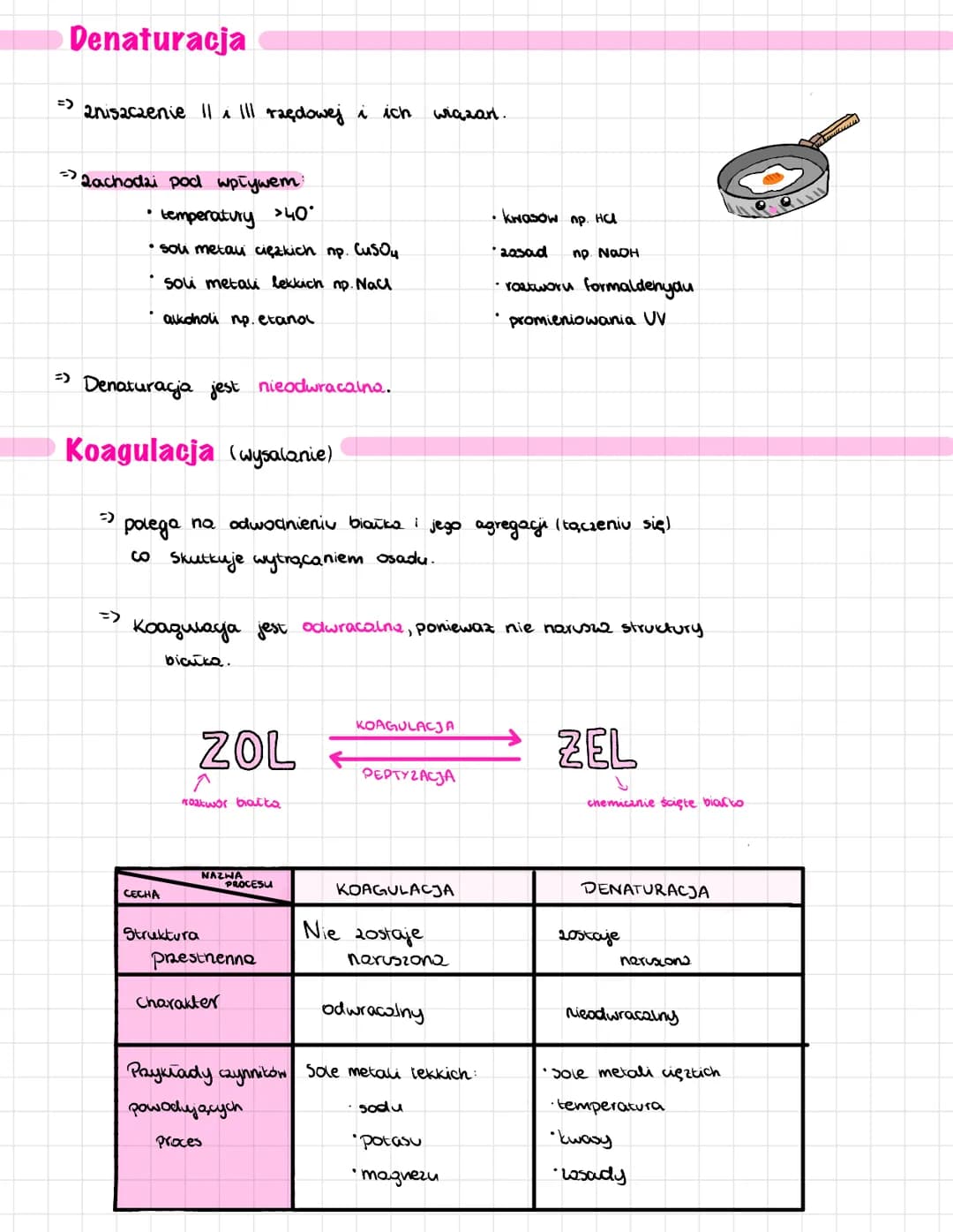 
<p>Polimery kondensacyjne aminokwasów białkowych.</p>
<h2 id="rodzajebiaek">Rodzaje białek</h2>
<p>Białka dzielą się ze względu na skład ta