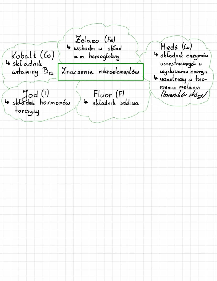 
<p>Podstawowymi składnikami chemicznymi każdego organizmu są pierwiastki chemiczne oraz związki chemiczne. W składniki chemiczne wchodzą ta