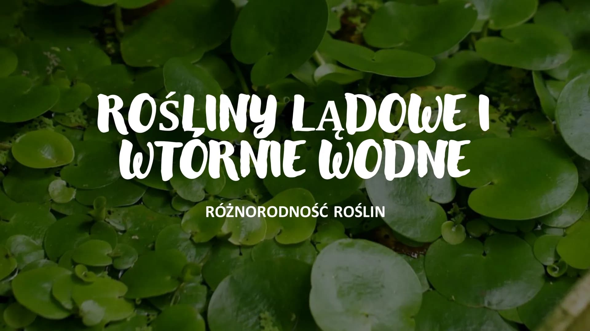 ROŚLINY LADOWE I
WTÓRNIE WODNE
D
RÓŻNORODNOŚĆ ROŚLIN ●
●
WPROWADZENIE
Rośliny lądowe to tkankowe organizmy autotroficzne,
których ciało jest