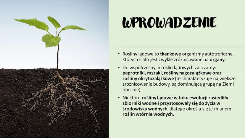 ROŚLINY LADOWE I
WTÓRNIE WODNE
D
RÓŻNORODNOŚĆ ROŚLIN ●
●
WPROWADZENIE
Rośliny lądowe to tkankowe organizmy autotroficzne,
których ciało jest
