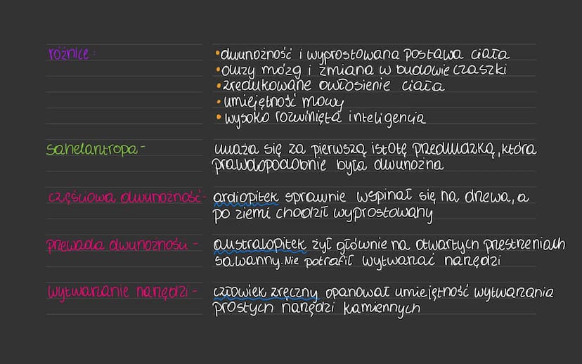 gorgle-
szympansy -
gibony-
orangutany -
podobieństwa
pochodzenie czlowieka
Człekokształtne a ludzie
chodzą podpierając się się podwiniętymi