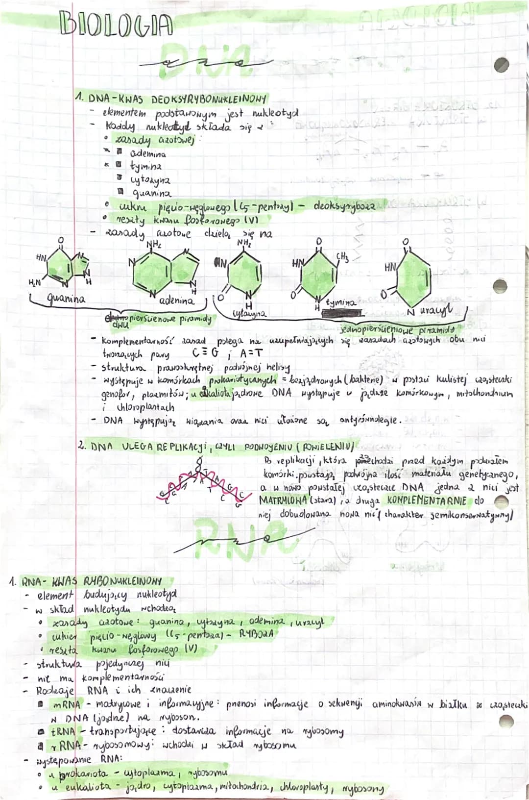 HN
H₂N
-
-
BIOLOGIA
.
1. DNA-KWAS DEOKSYRYBONUKLEINONY
elementem podstawowym jest nukleotyd
Kaddy nukleattyd składa się
guanina
0
نقبة
zasad